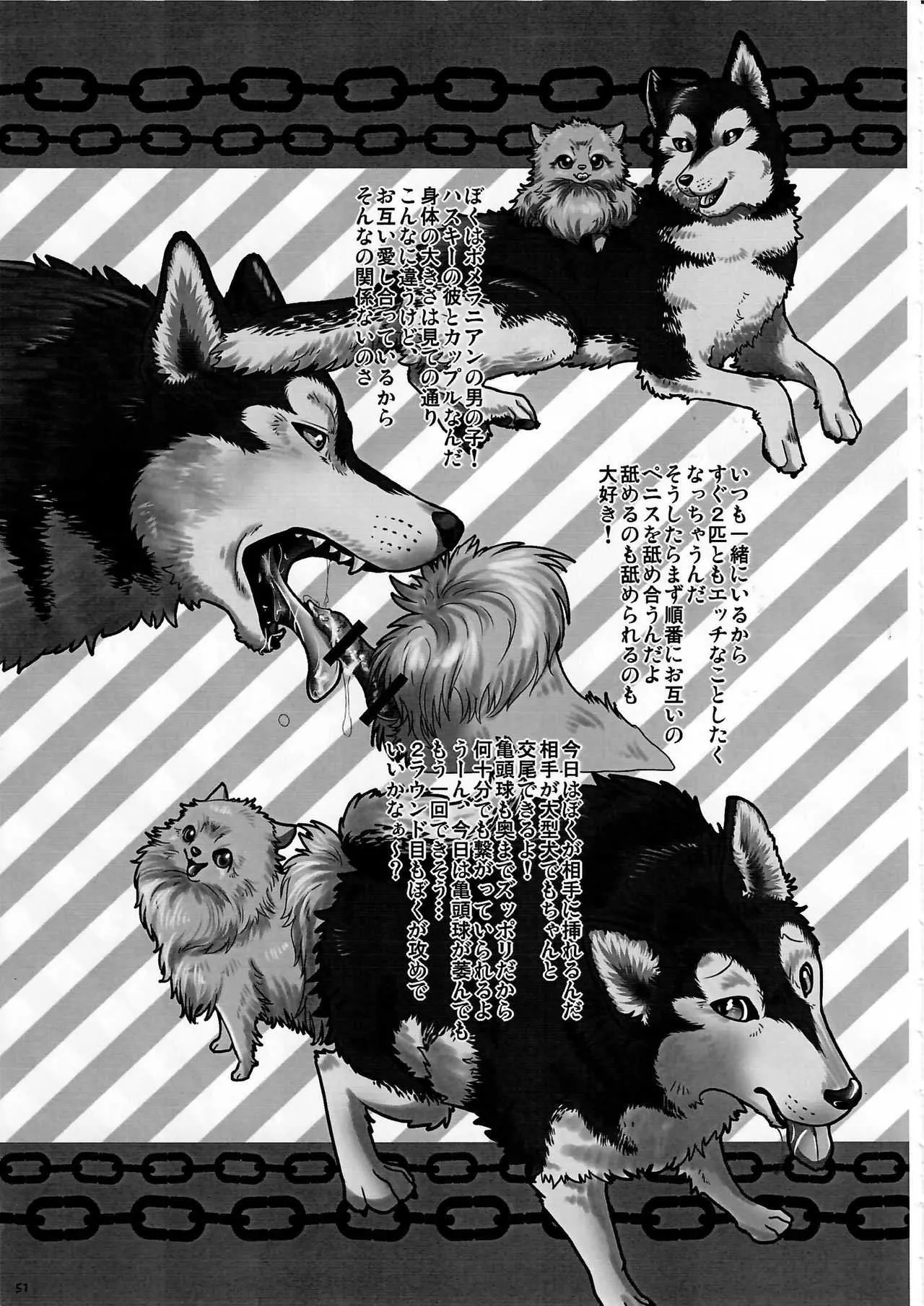 (関西!けもケット3) [KTQ48 (よろず)] KTQ7_10