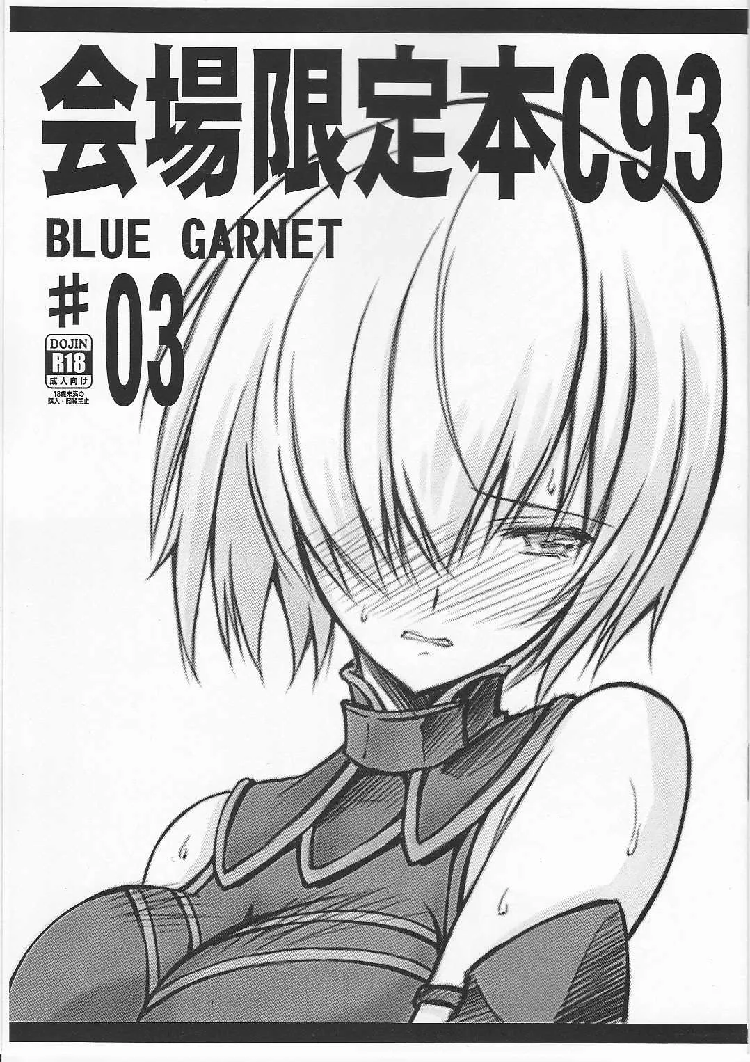 (C93) [BLUE GARNET (芹沢克己)] 会場限定本C93 (Fate/Grand Order)