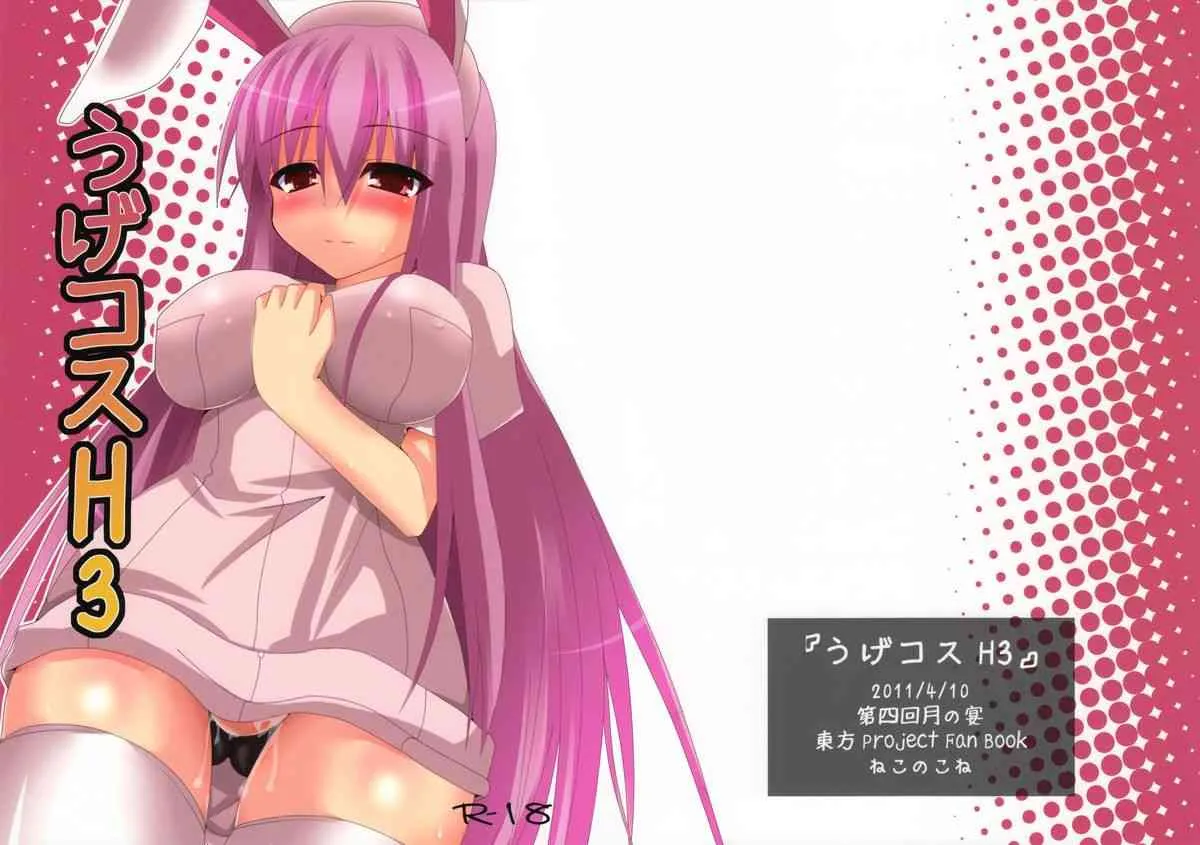 (月の宴4) [ねこのこね (タケユウ)] うげコスH3 (東方Project)