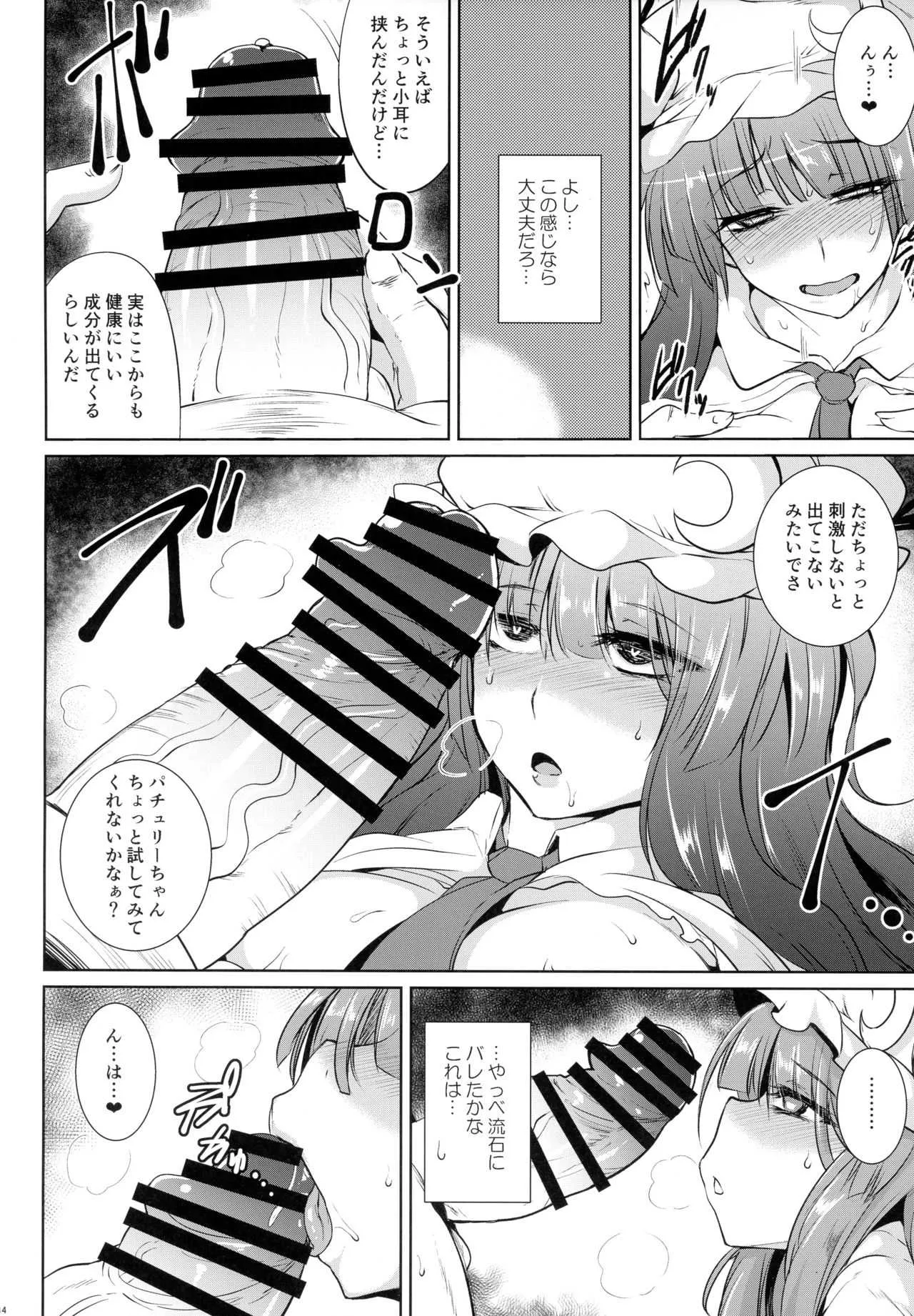 (例大祭14) [MegaSoundOrchestra (三割引)] 幻想艶交 -Knowledge- (東方Project)_6