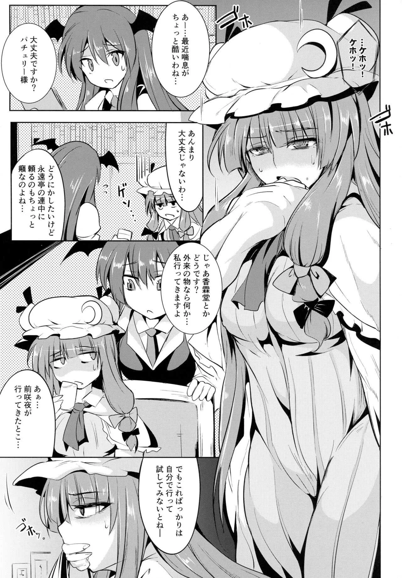 (例大祭14) [MegaSoundOrchestra (三割引)] 幻想艶交 -Knowledge- (東方Project)_3