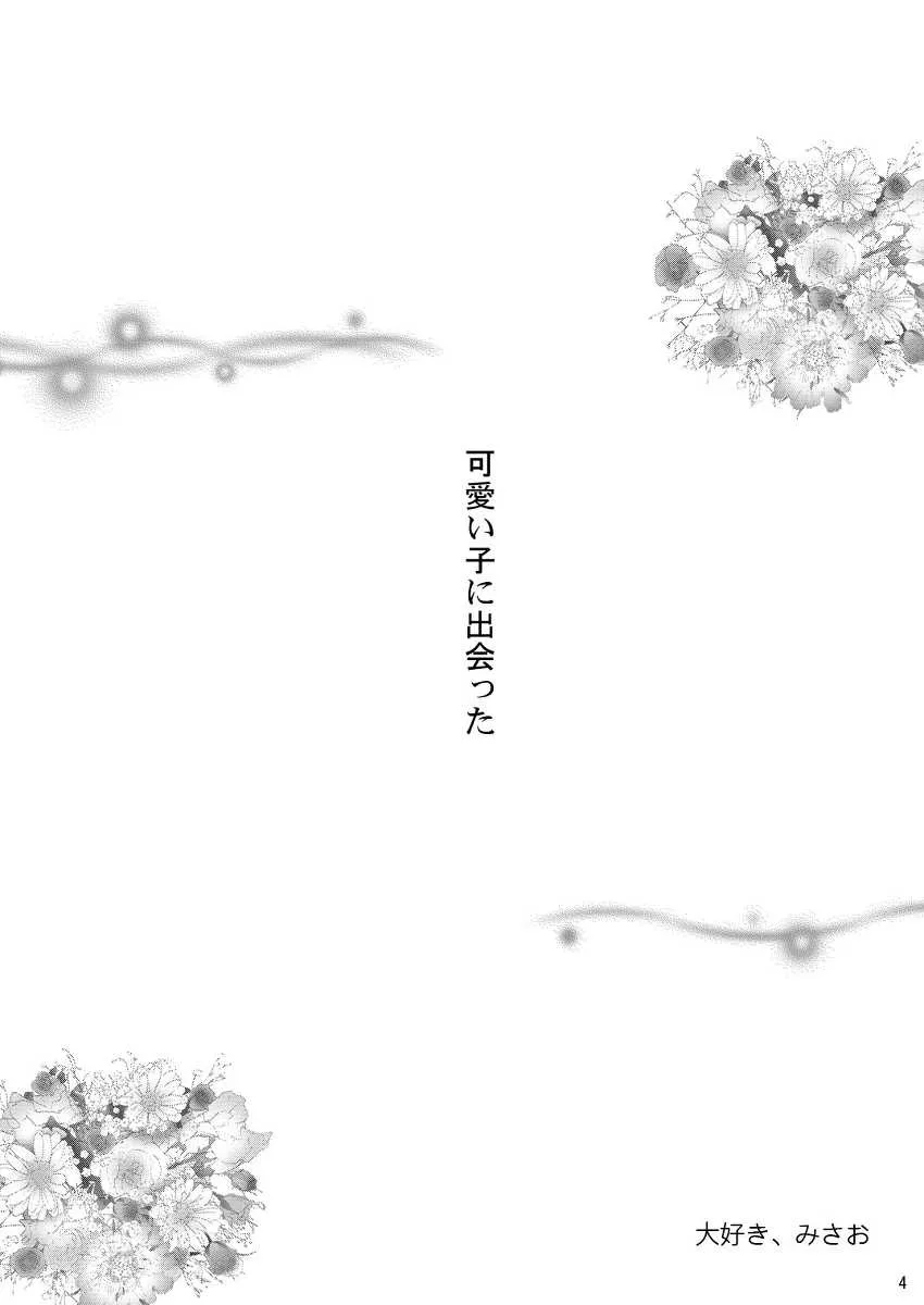 (ぷにケット 21) [るるな&にむにむ] 大好き、みさお (らき☆すた)_4
