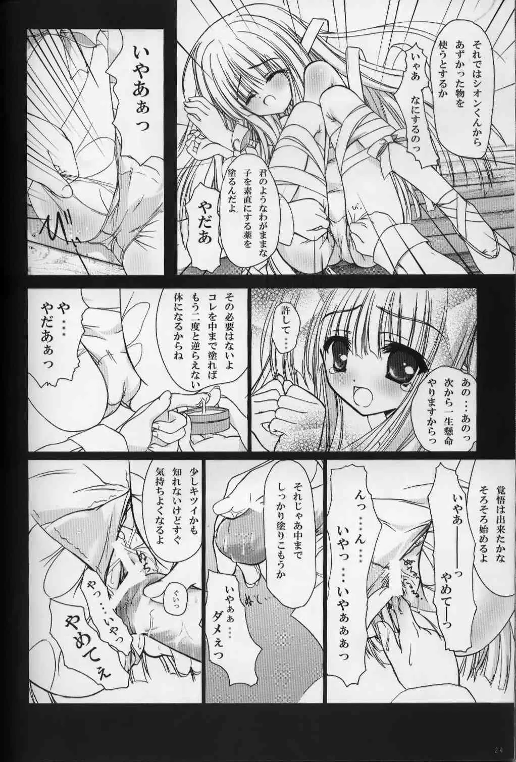 image_23