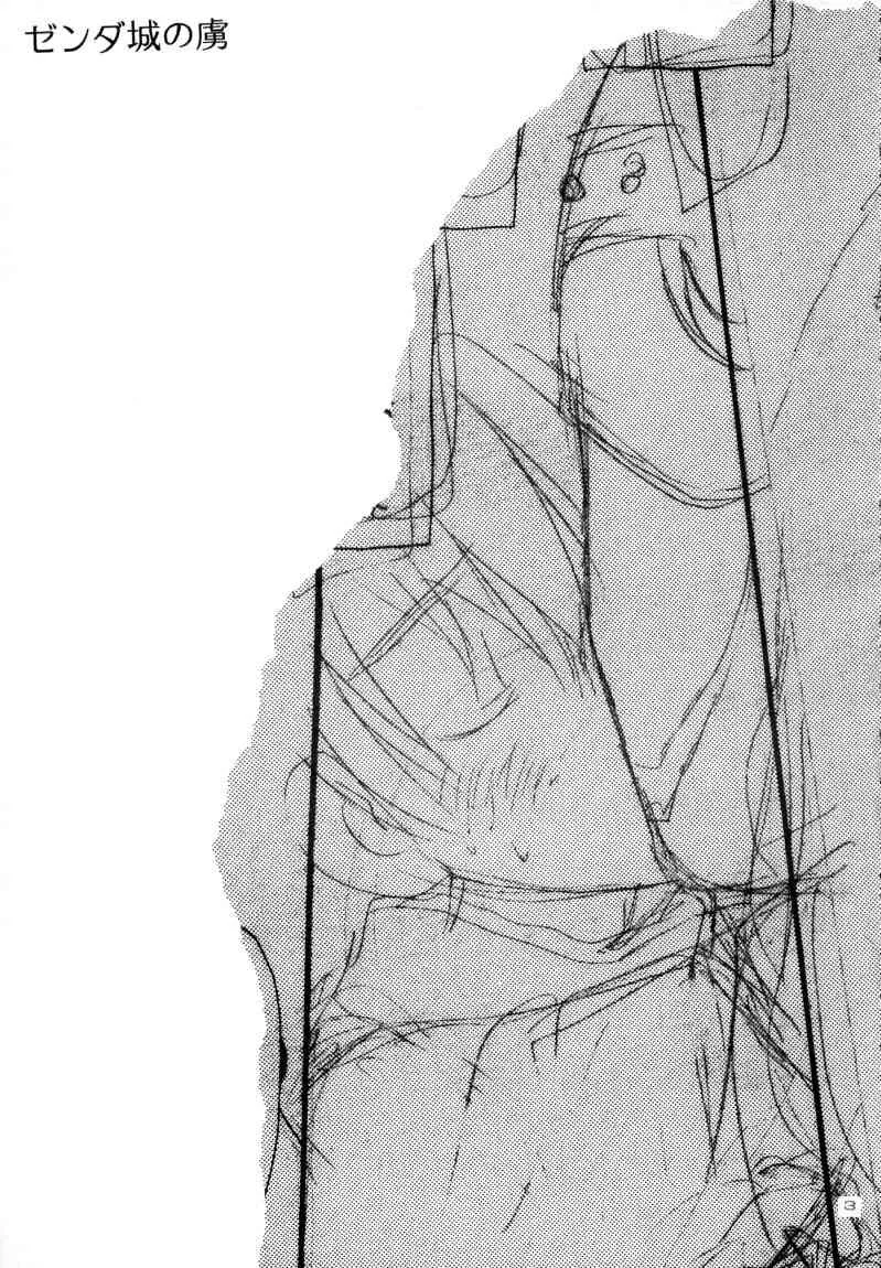 (サンクリ15) [るぐるDNA] ゼンダ城の虜 (デジモンアドベンチャー02)_4