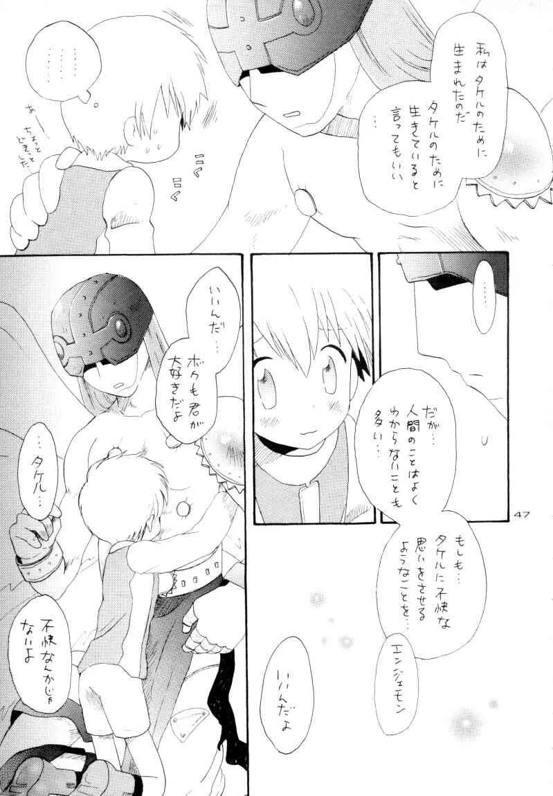 image_48