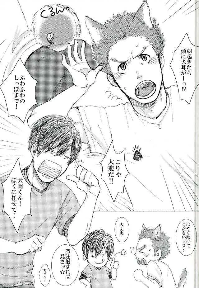 ココ♂掘れわんわんっ！ (ハイキュー!!)_2