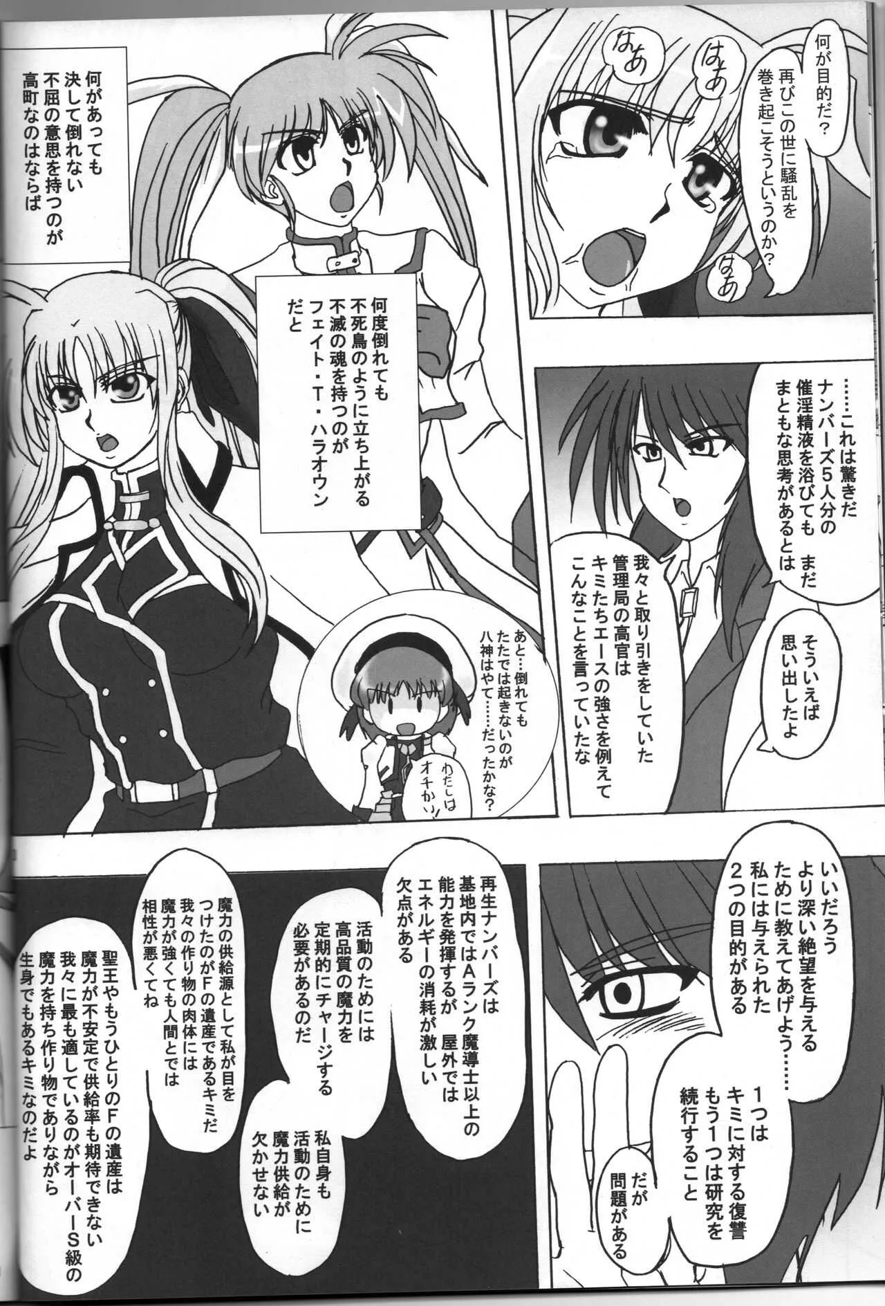 [鉄球チェーン (きりもみ☆しゅーと)] BREAK PHOENIX (魔法少女リリカルなのは)_10