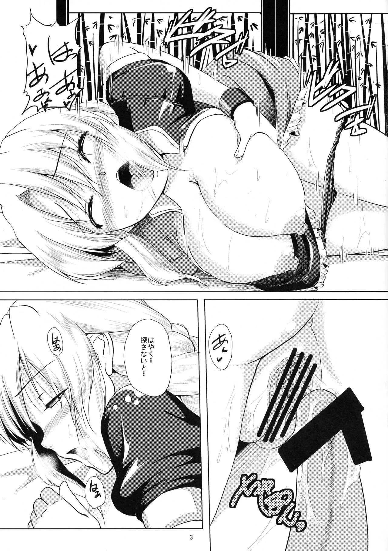 (例大祭7) [かりび庵 (ケラトン)] 蓬莱の副作用 (東方Project)_4