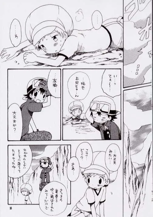 (C62) [くるぐるDNA (星逢ひろ)] Brother Blue Berry (デジモンフロンティア)_7