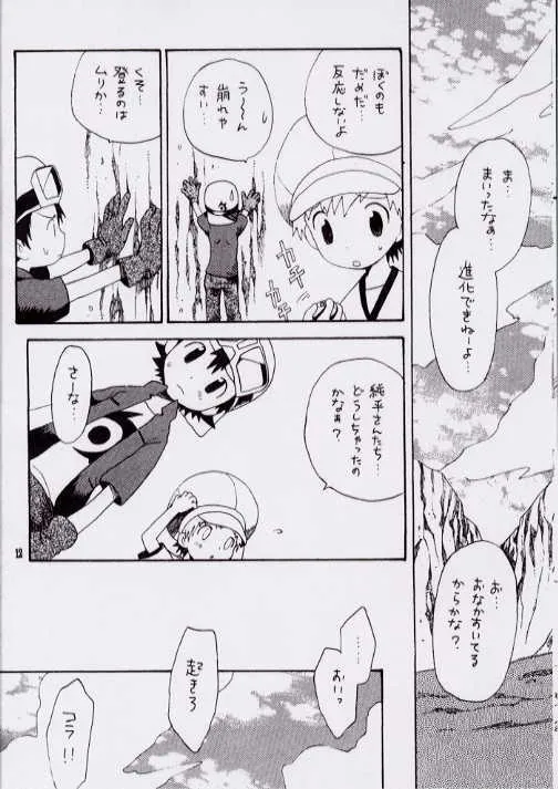 (C62) [くるぐるDNA (星逢ひろ)] Brother Blue Berry (デジモンフロンティア)_9