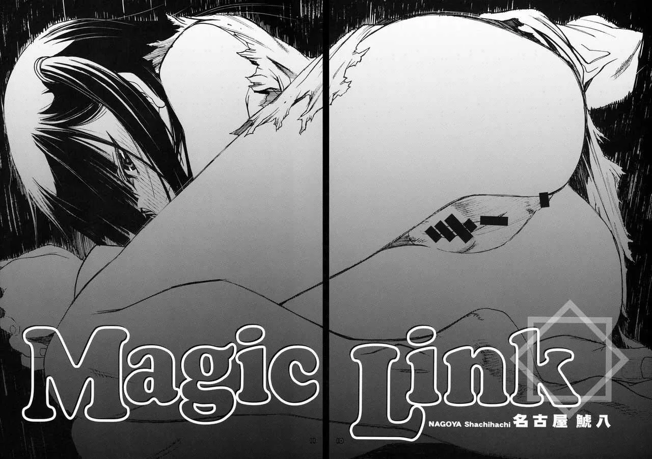 (C83) [PIGGSTAR (名古屋鯱八)] Magic Link (マギ)_9