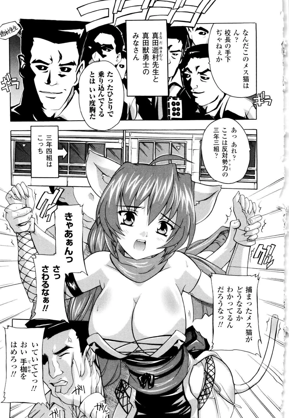 image_65