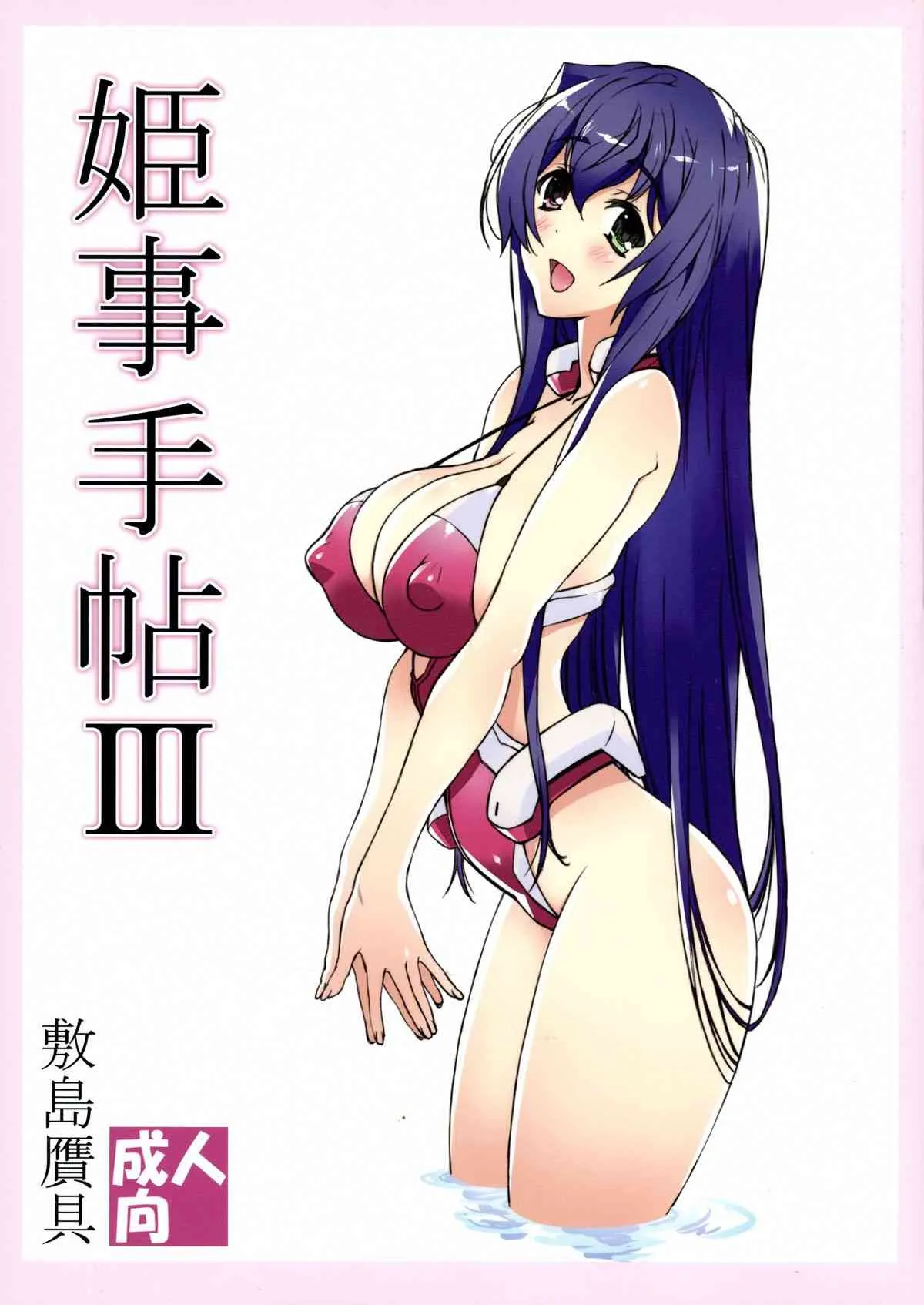 (COMIC1☆9) [敷島贋具 (敷島天気、敷島昭太郎)] 姫事手帖III (境界線上のホライゾン)
