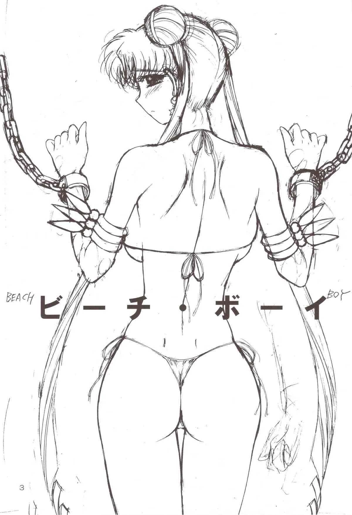 (C74) (同人誌) [BLACK DOG] BEACH BOY (セーラームーン)_2