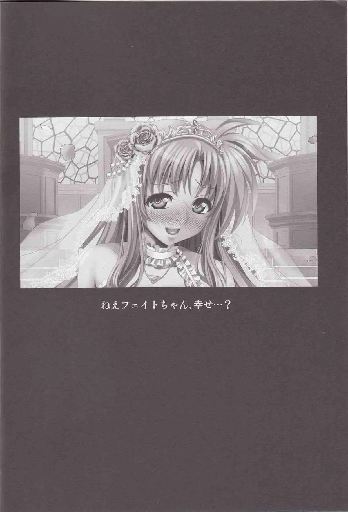 (C84) [メタボ喫茶異臭騒ぎ (いたちょう)] 俺嫁なのは (魔法少女リリカルなのは)_3