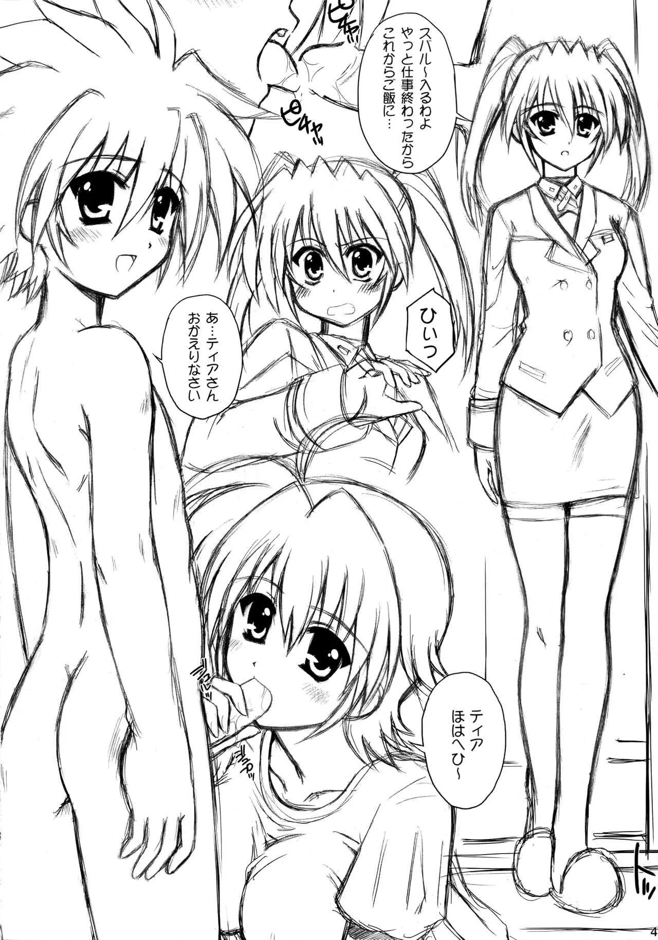 (リリカルマジカル7) [鴨川屋 (鴨川たぬき)] EST (魔法少女リリカルなのはStrikerS)_3