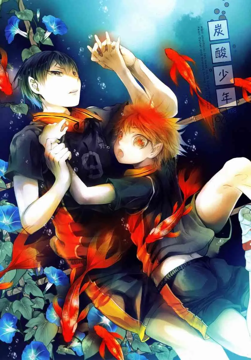 Ooki Bonta (Akoya Kai to Omaru Ebi) – Tansan Shounen (Haikyuu!!)