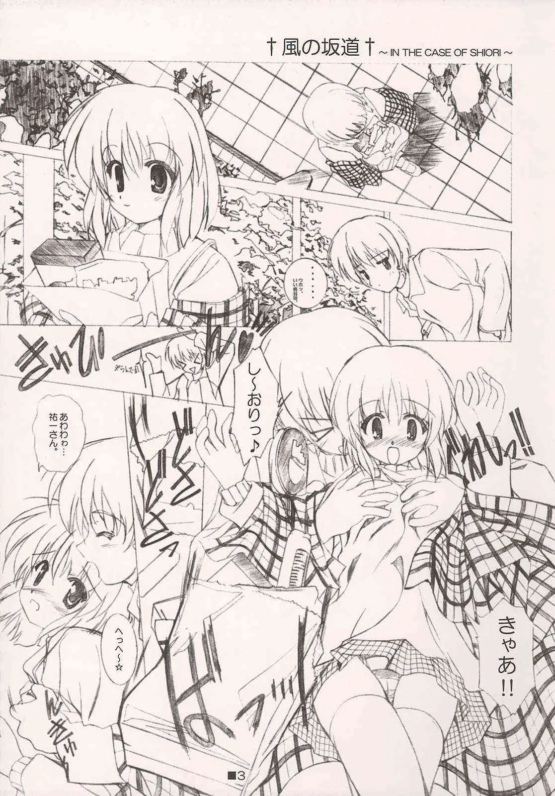 (C64) [金春流 (さえきひじり)] SELECTION AND COLLECTION 2003 IN THE CASE OF SHIORI (カノン)_3