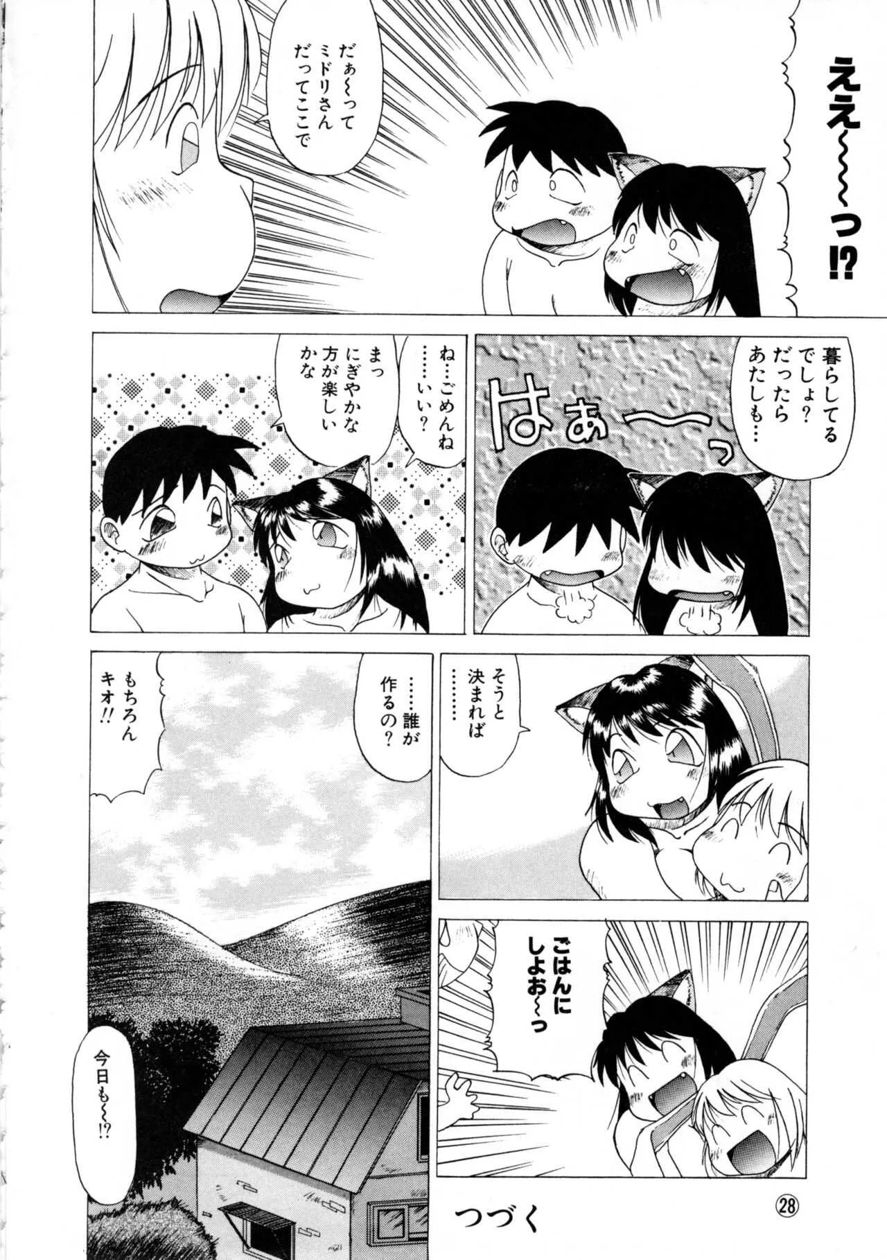 image_31