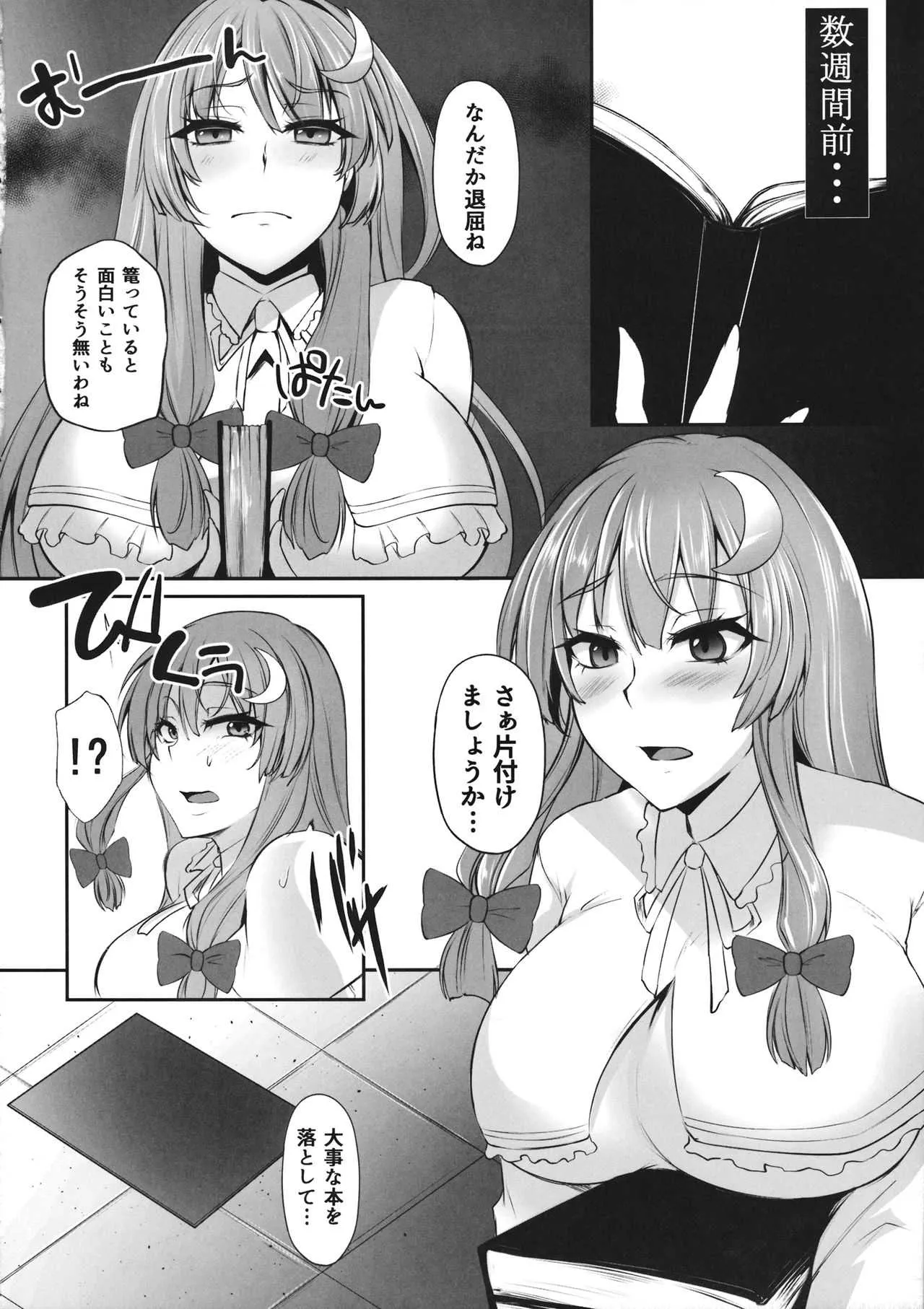 (秋季例大祭3) [PONDEMIX (雪國おまる、yaeto)] TOHO‐MIX -patchouli- (東方Project)_3
