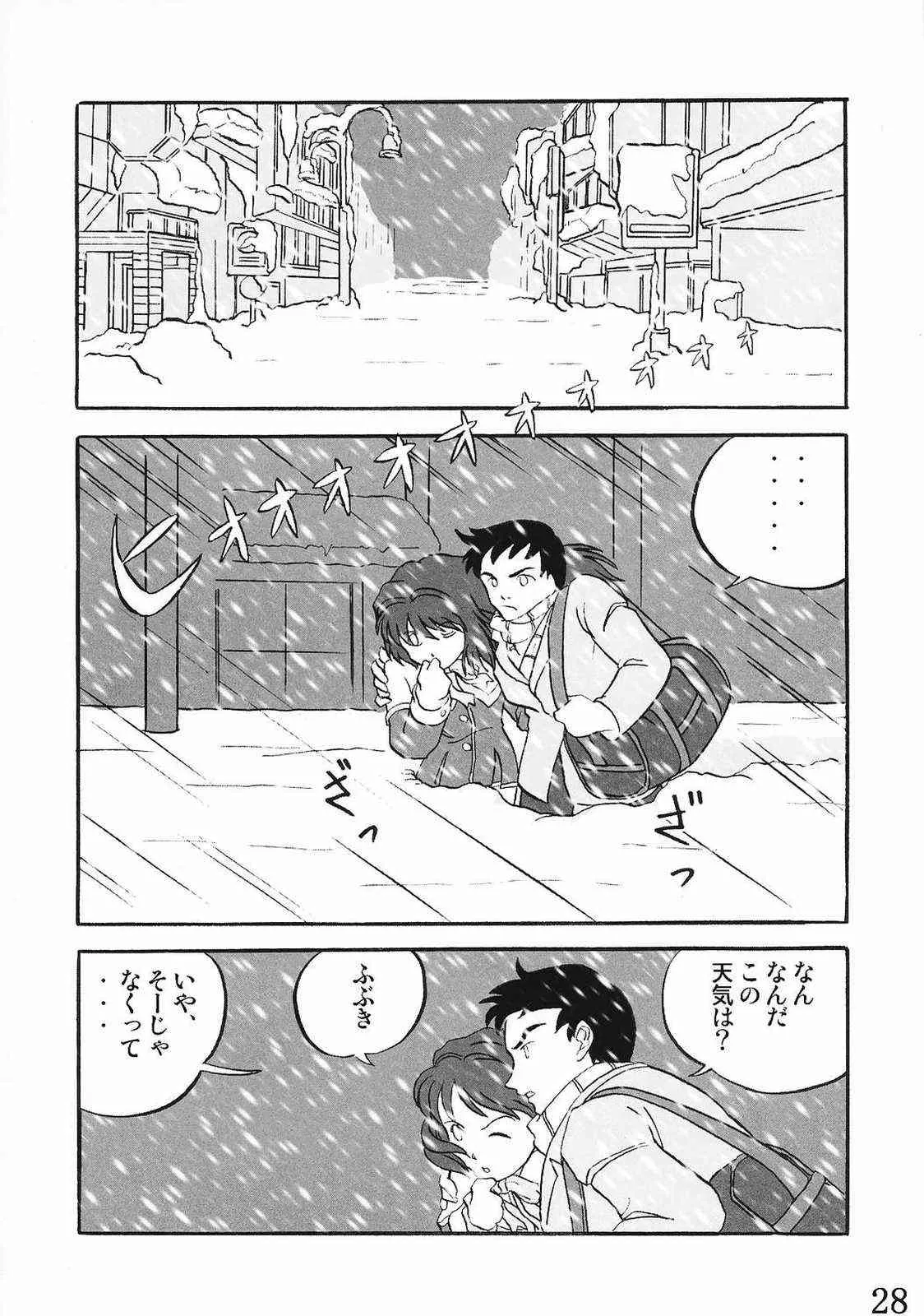 image_27