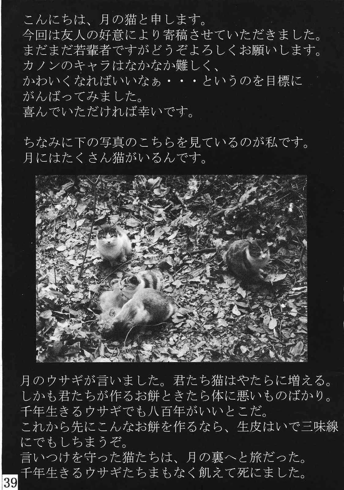 image_38