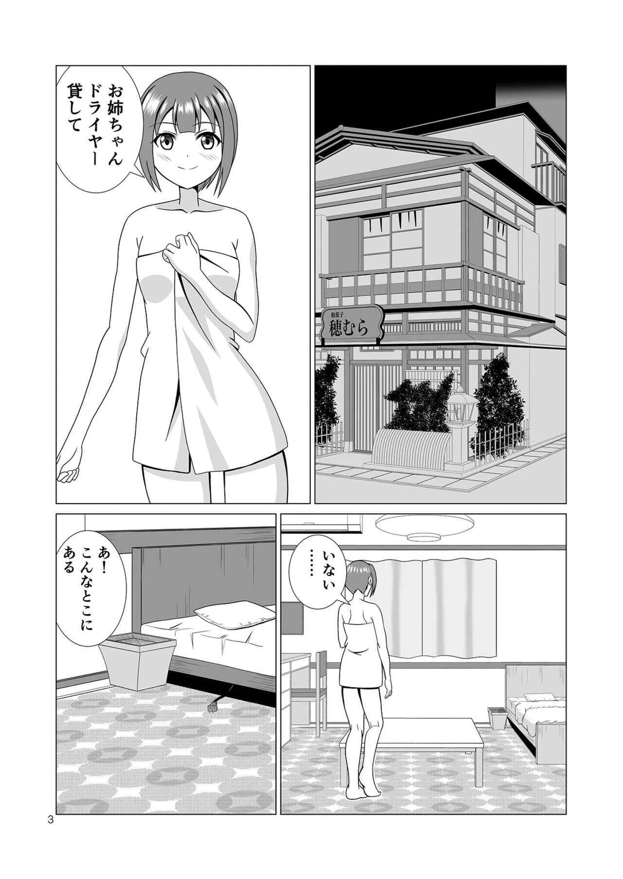 [MagicalFlight (十畳たたみ)] 姉妹丼パーティー (ラブライブ!) [DL版]_3