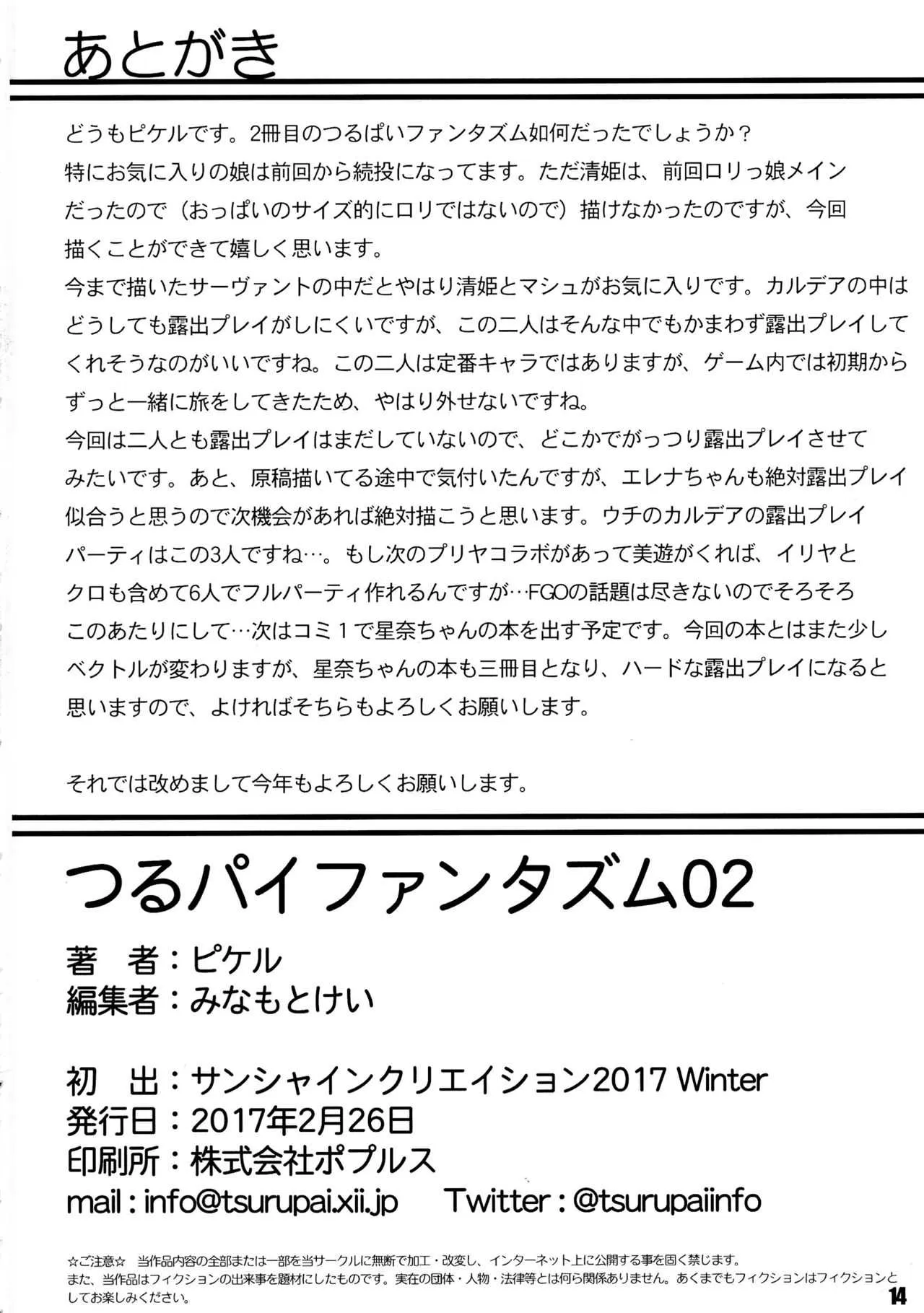 (サンクリ2017 Winter) [つるつるパイん (ピケル)] つるパイファンタズム02 (Fate/kaleid liner プリズマ☆イリヤ、Fate/Grand Order)_10