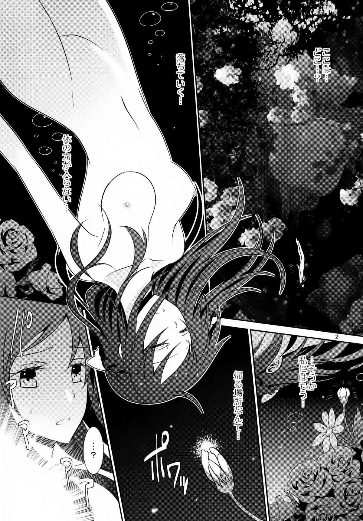 (C84) [434 Not Found (isya)] Lament -Hope or Despair- (ドキドキ!プリキュア)_3