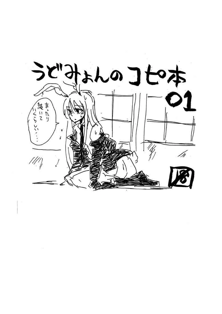[ドロップ人間] うどみょんのコピ本01 (東方)