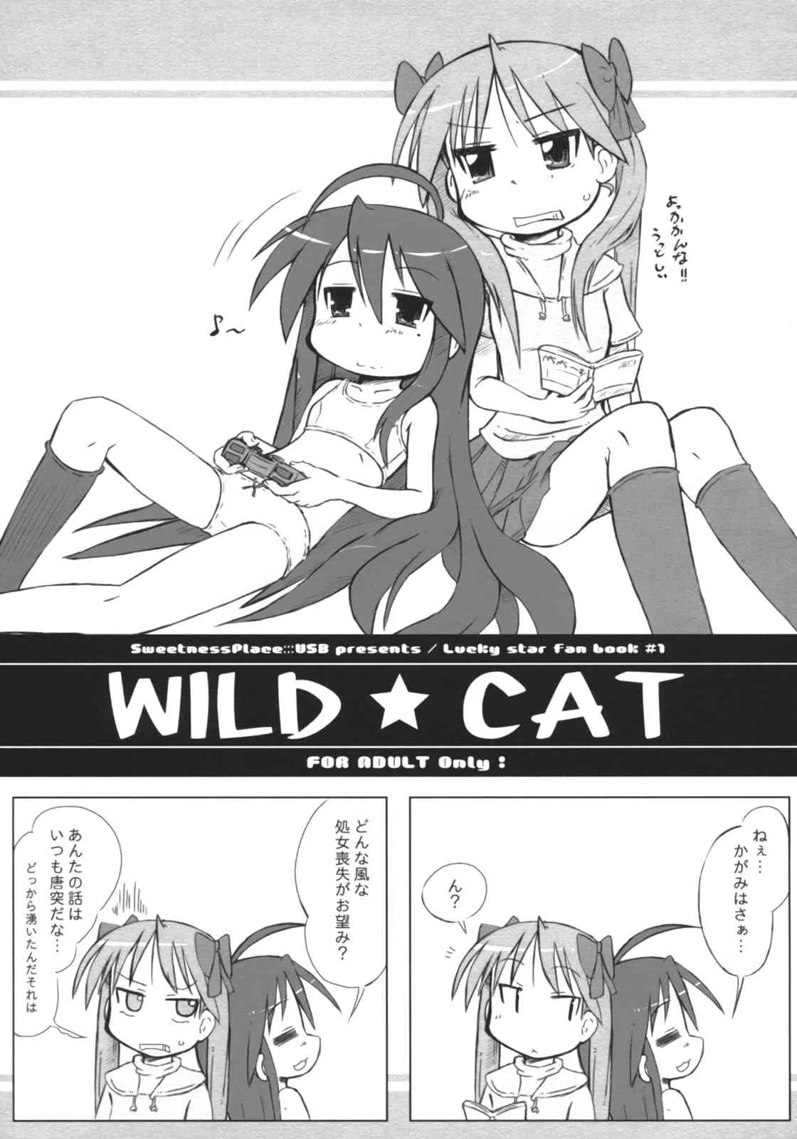 (ぷにケット 15) [甘味処USB (ふりり)] WILD CAT (らき☆すた)