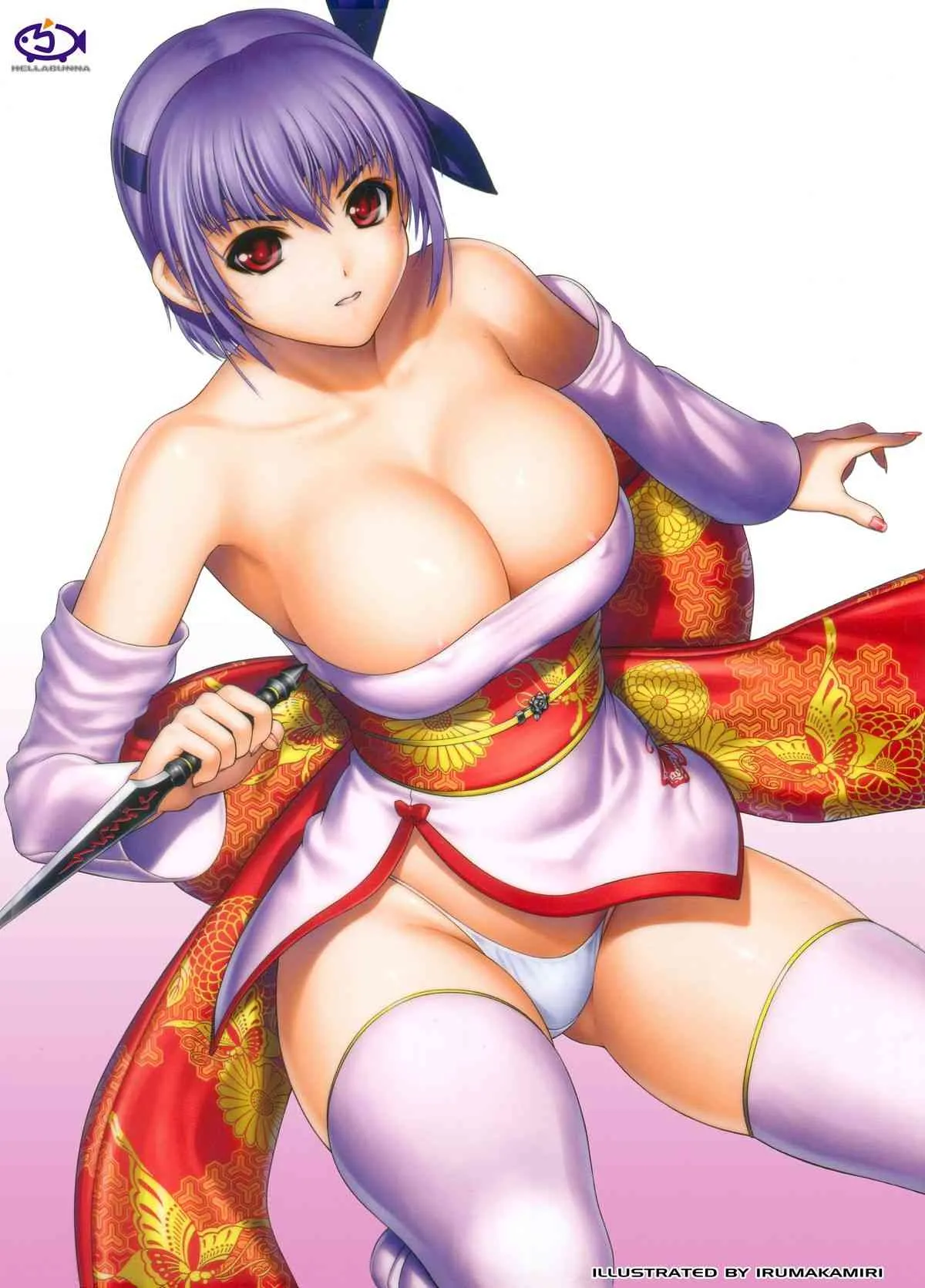 (C81) [へらぶな (いるまかみり)] H.SAS 04 (デッドオアアライブ) [カラー化]_2