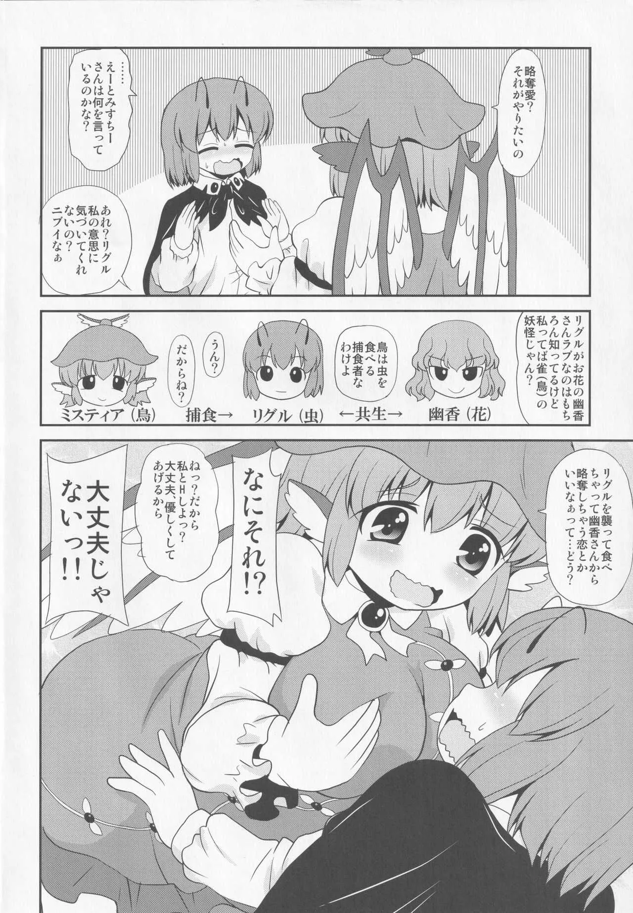 [魔導資料室 (嵐-D-悪鬼羅、佐々木てろん、emina)] 夜雀は光る蛍を欲するか (東方Project)_3