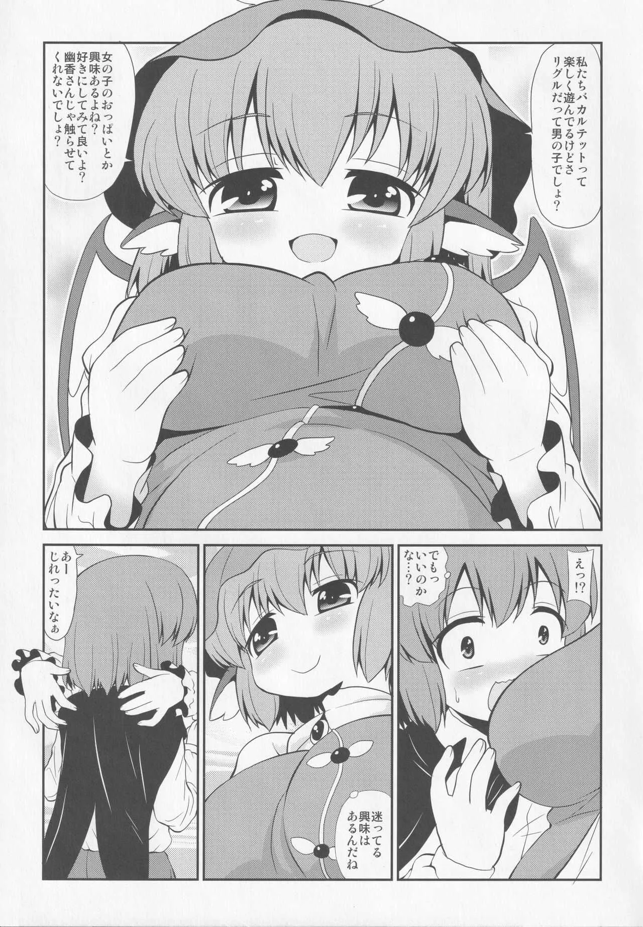 [魔導資料室 (嵐-D-悪鬼羅、佐々木てろん、emina)] 夜雀は光る蛍を欲するか (東方Project)_4