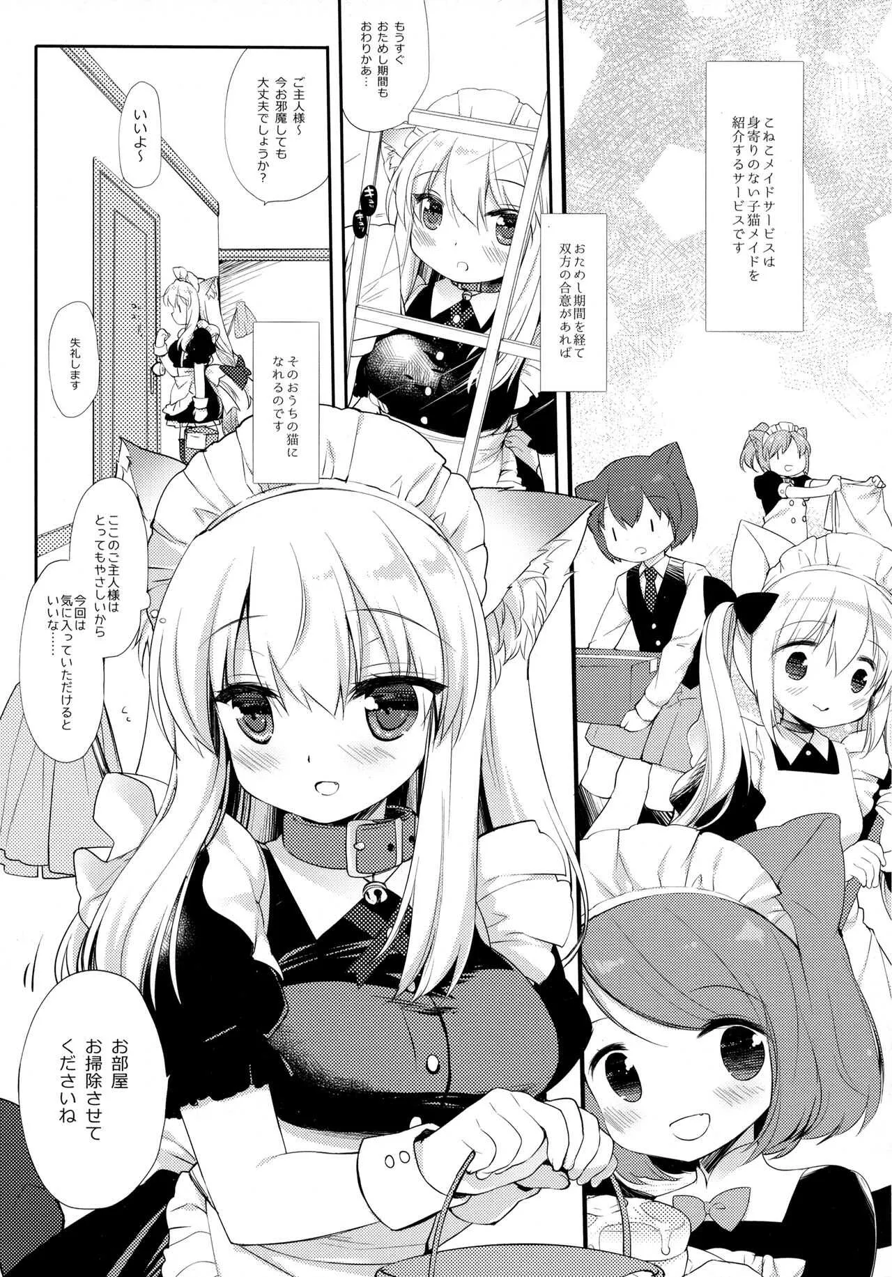 (コミティア127) [D・N・A.Lab. (ミヤスリサ)] 子猫ちゃんは飼われたい_4