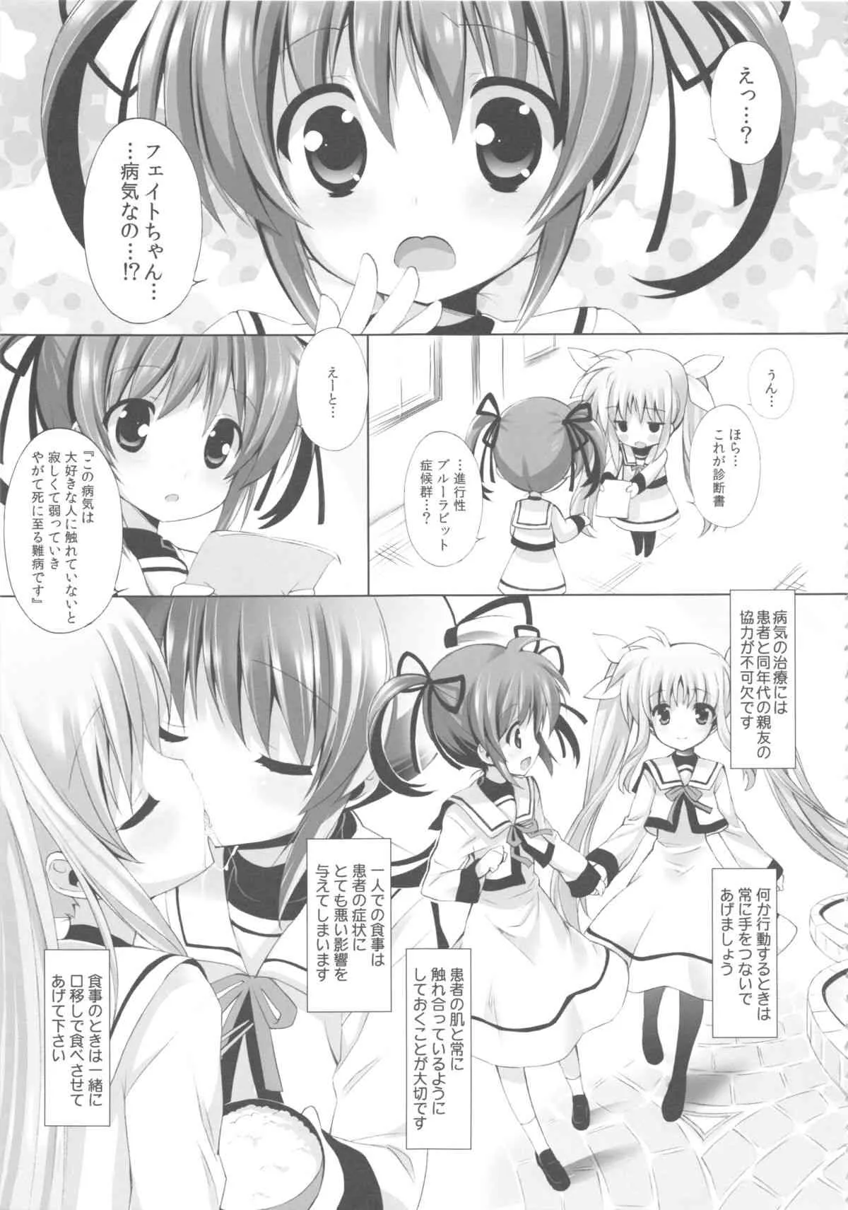 (C84) [メルヘンBOX (よろず)] なのパラ13 (魔法少女リリカルなのは)_5
