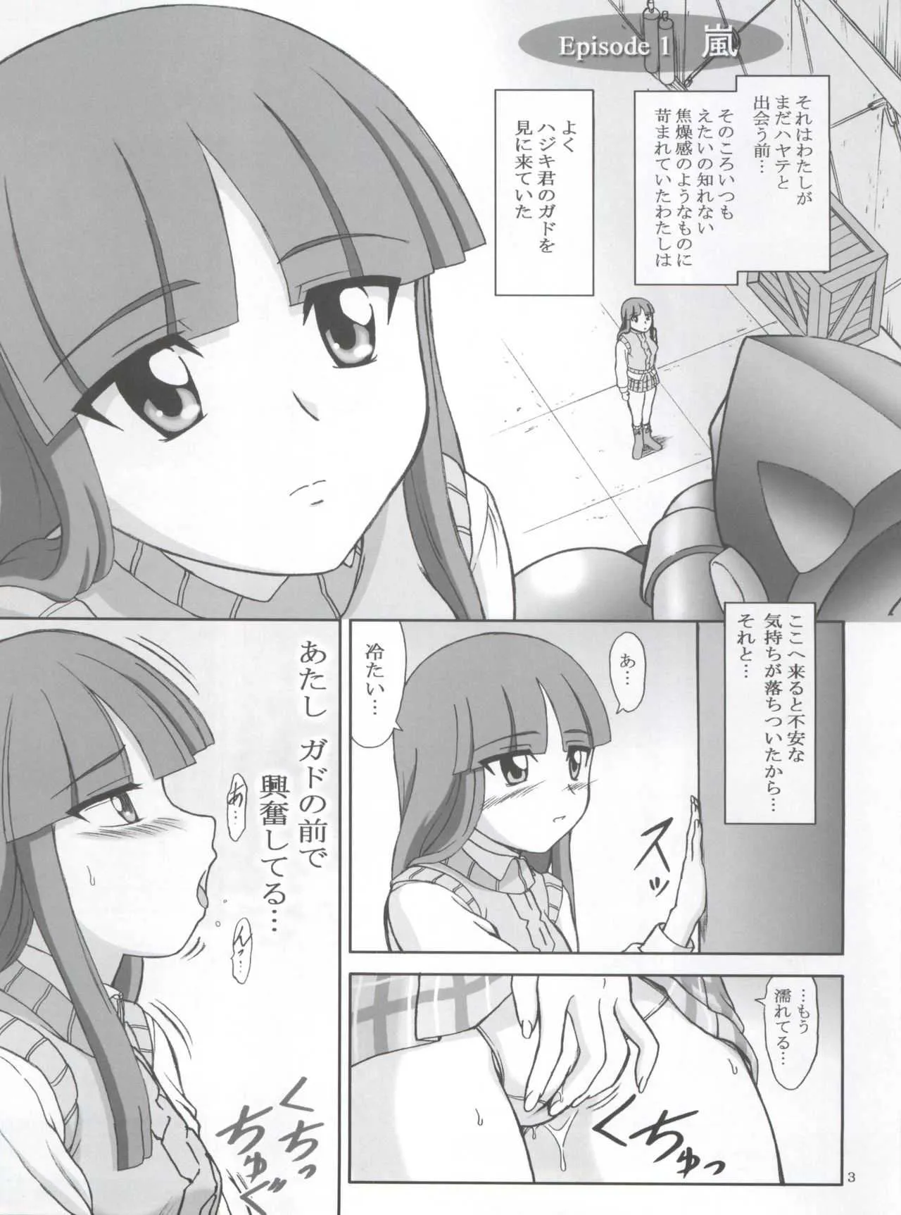 (C65) [B.S.K (影司)] 嵐 ARASHI (ガドガード)_3