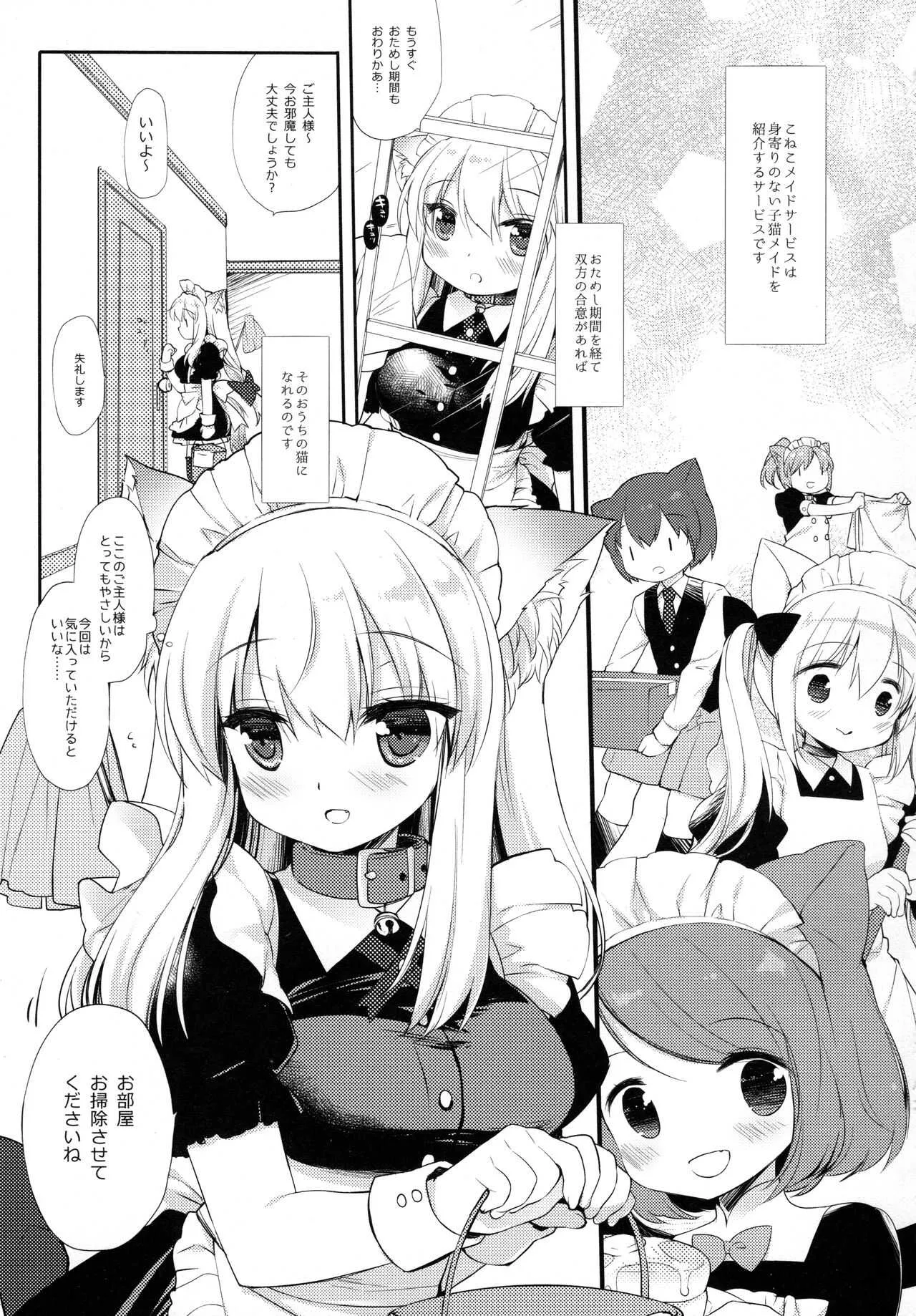 (コミティア127) [D・N・A.Lab. (ミヤスリサ)] 子猫ちゃんは飼われたい_4