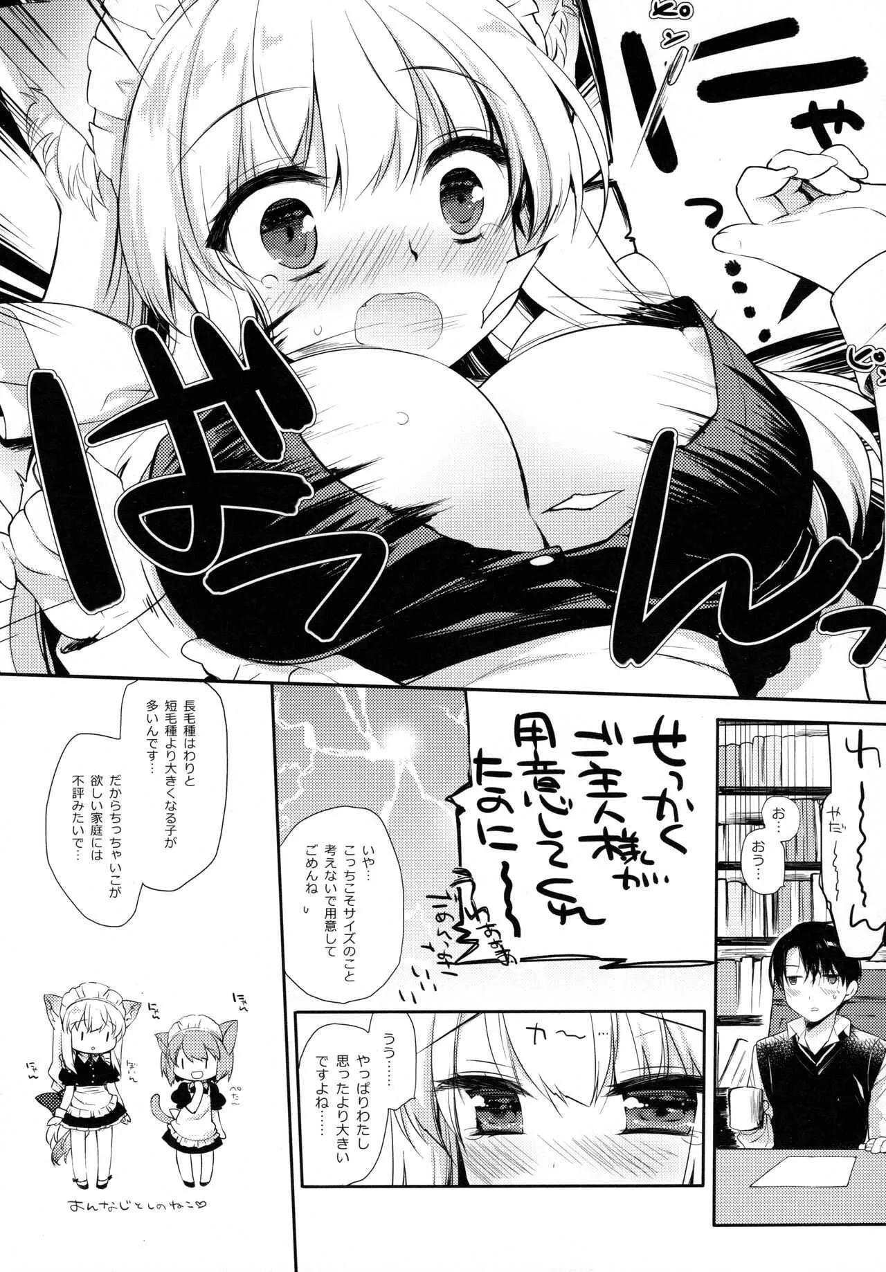 (コミティア127) [D・N・A.Lab. (ミヤスリサ)] 子猫ちゃんは飼われたい_6