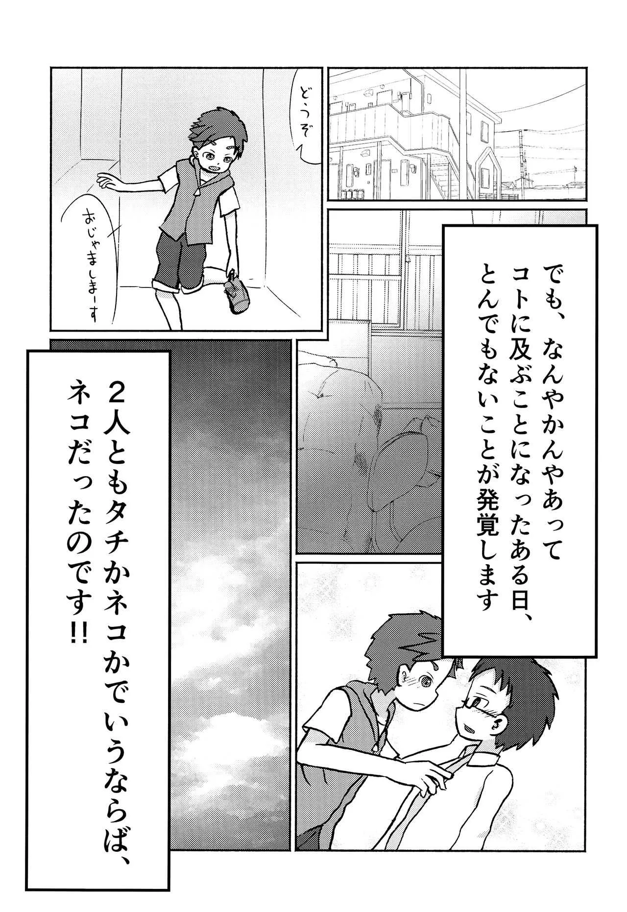 (C93) [JaiL Black (田中太郎)] 解決!? ネコ×ネコソリューション_8