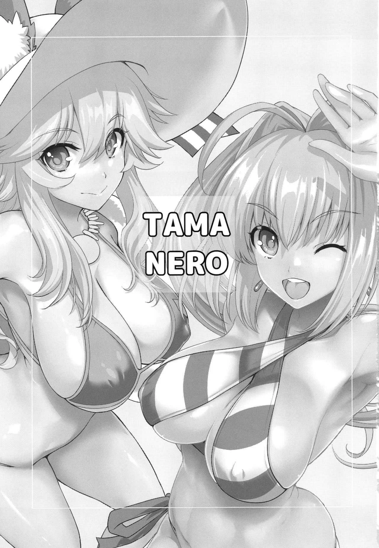 (C94) [鶯屋 (鶯神楽)] TAMANERO (Fate/Grand Order)_2
