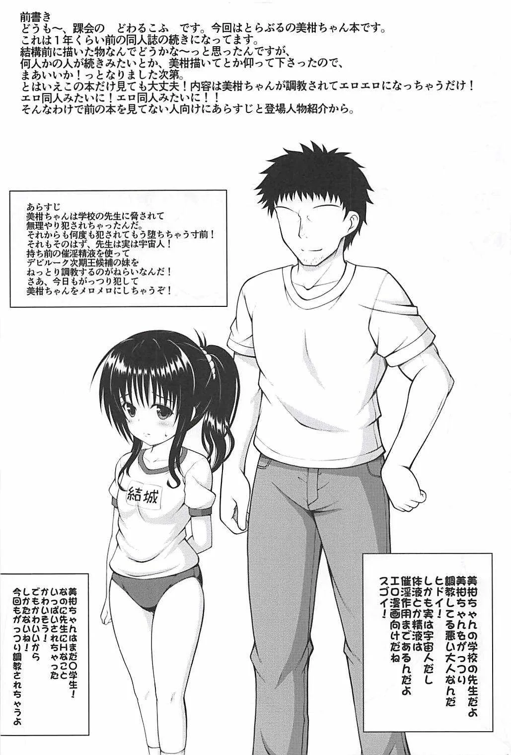 (C94) [踝会 (どわるこふ)] ミカンノナイショノシュウマツ (To LOVEる -とらぶる-)_3