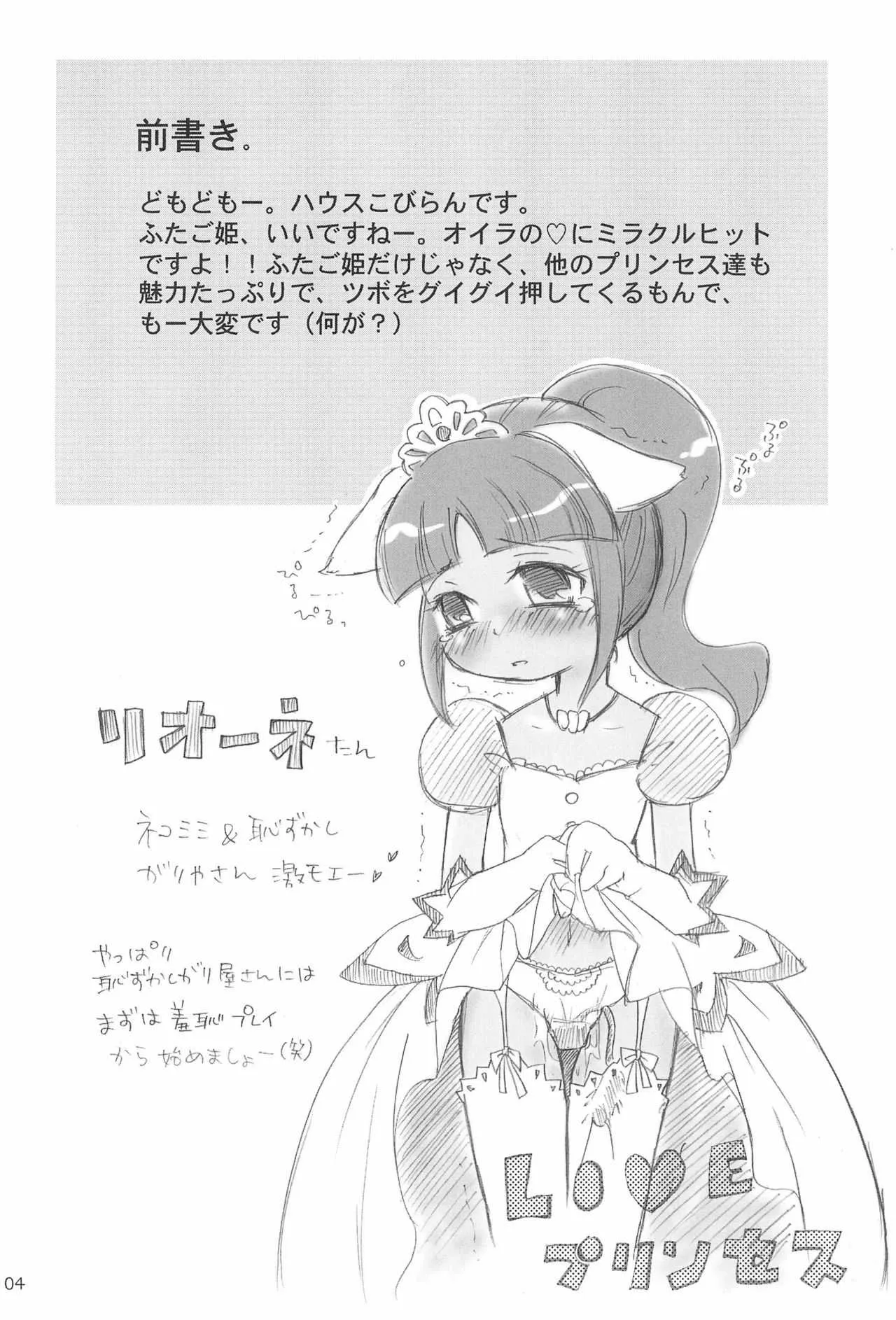 (C68) [こびらんハウス (ハウスこびらん)] ふたごのヒメゴト (よろず)_6