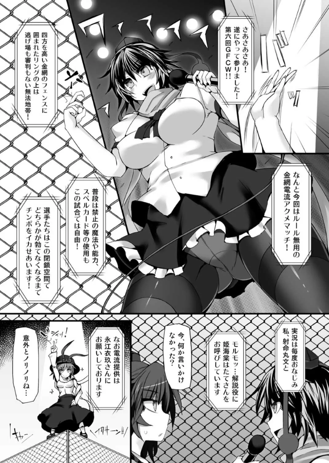 [Stapspats (翡翠 石)] 幻想 郷 フ タ ナ リ チ ン ポ レ ス リ ン グ 6 魔 理 沙 VS フ ラ ン ド ー ル_4