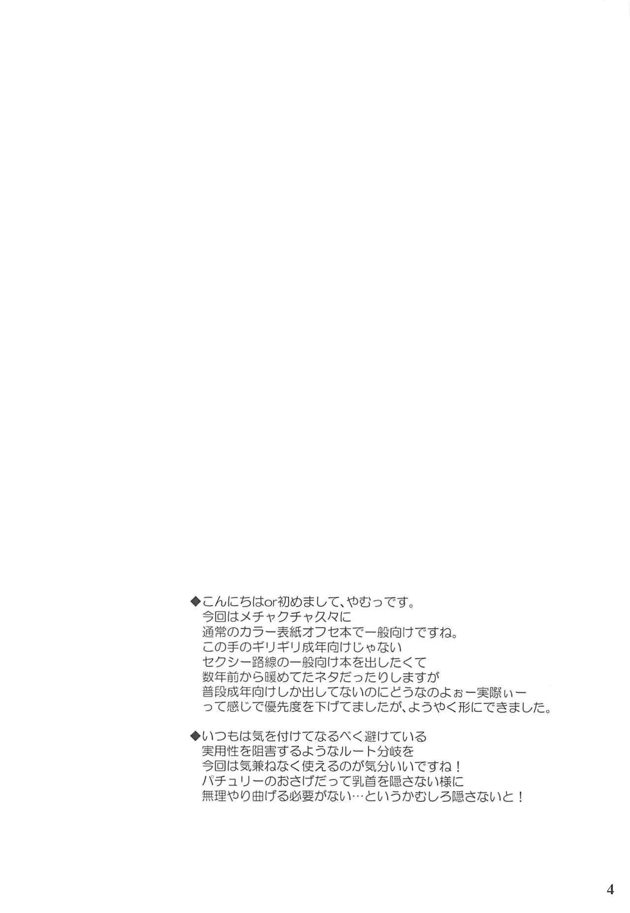 (例大祭15) [Reverse Noise (やむっ)] カリスマOverFlow (東方Project)_3