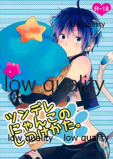 (THE VOC@LOiD M@STER 18) [hey you! (のん)] ツンデレにゃんこのしつけかた。 (VOCALOID)