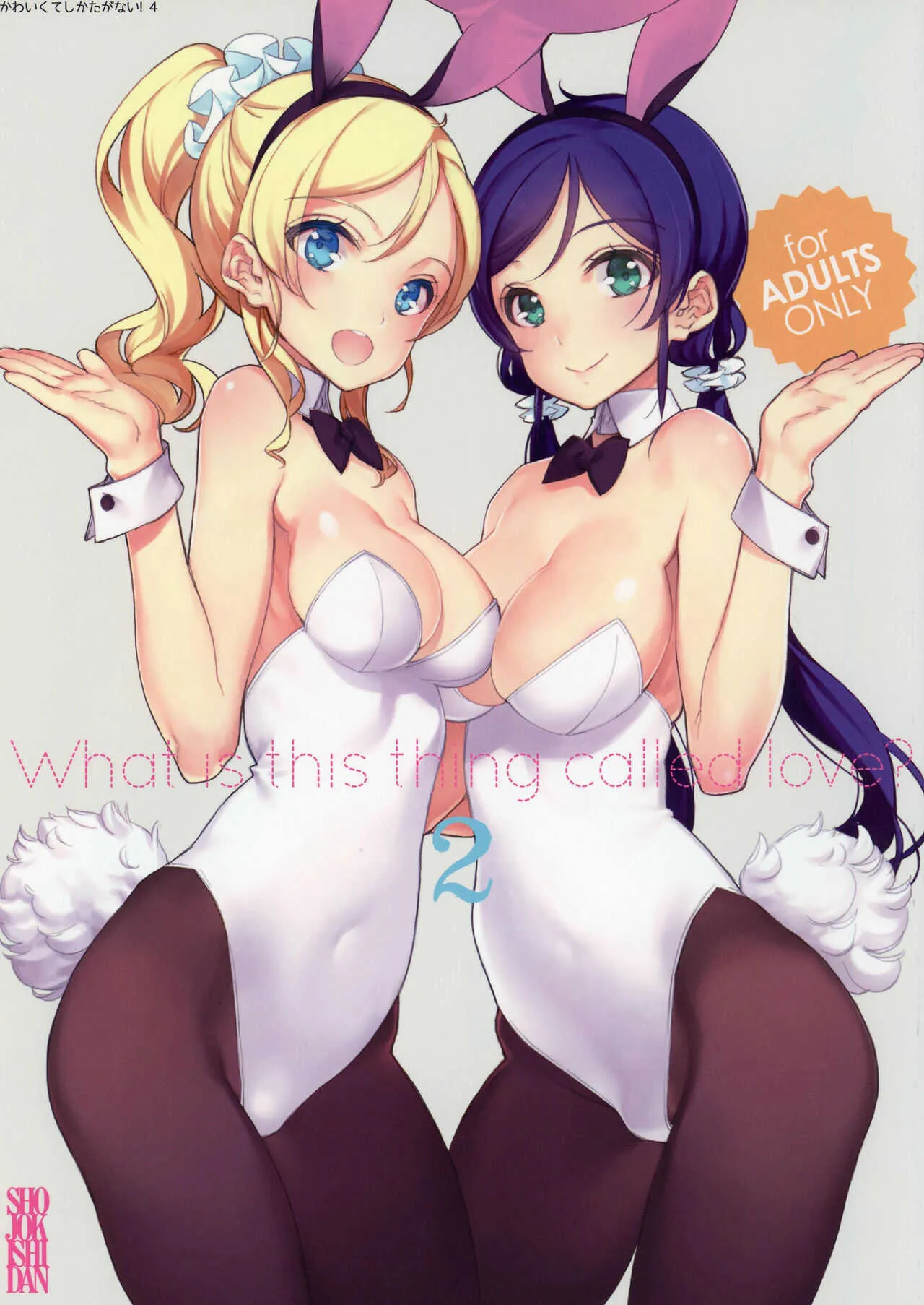 (C86) [少女騎士団 (大槍葦人)] What is this thing called love? 2 (ラブライブ!)