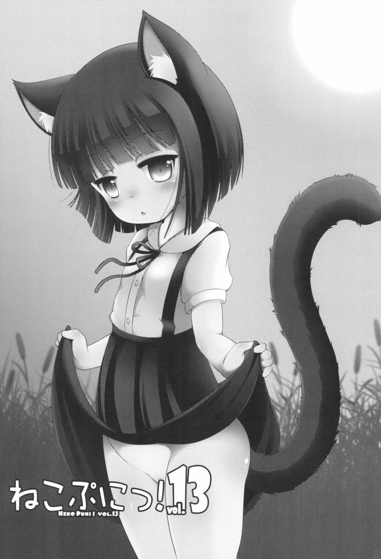 (C92) [きゃっといいえっくす (猫兎)] ねこぷにっ! vol.13_3