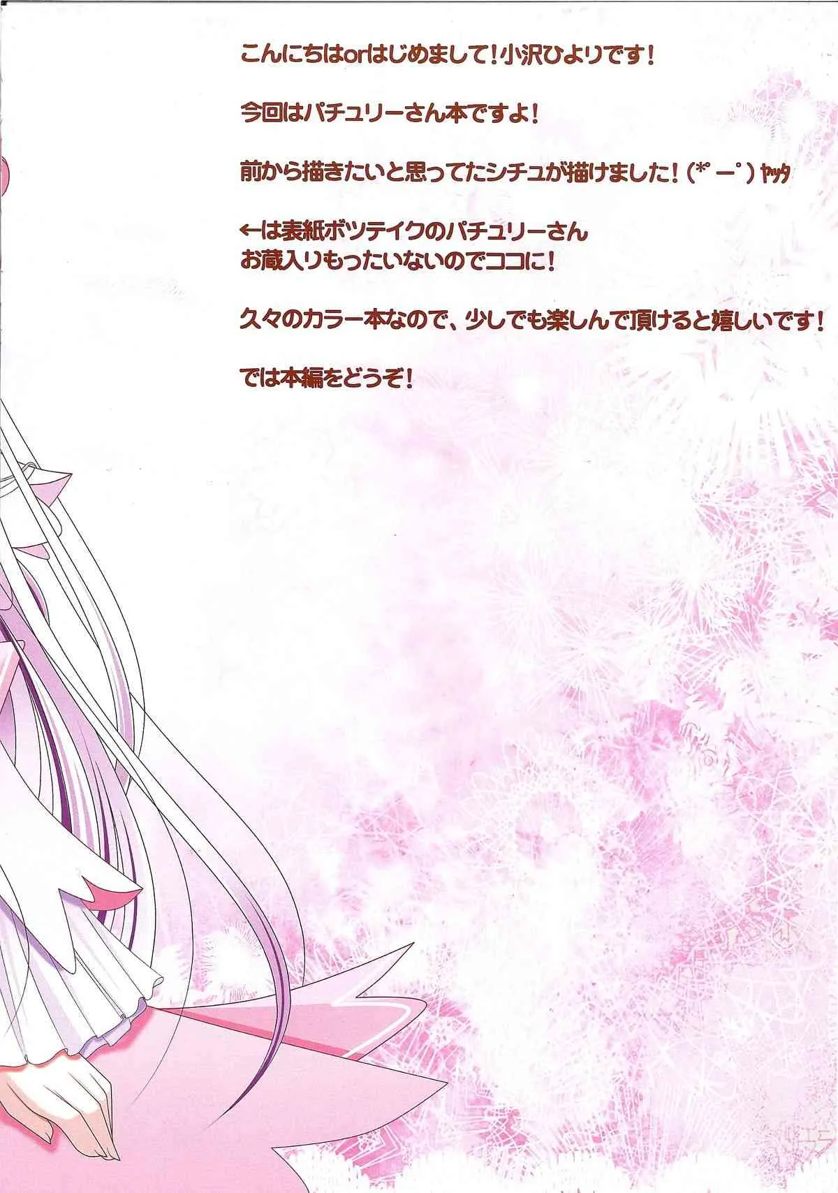 (C81) [うたかた。(小沢ひより)] 秘密の図書館 (東方Project)_3