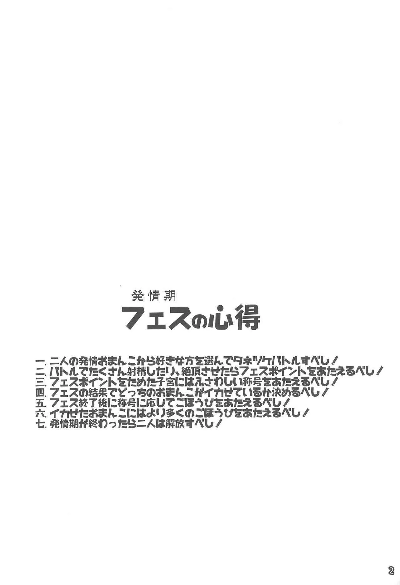 (C88) [Reverse Noise (やむっ)] フェス開催! (東方Project)_2